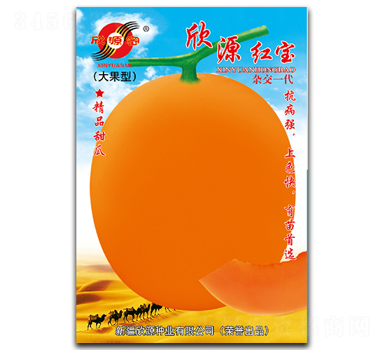 欣源紅寶-甜瓜種子-欣源種業(yè)