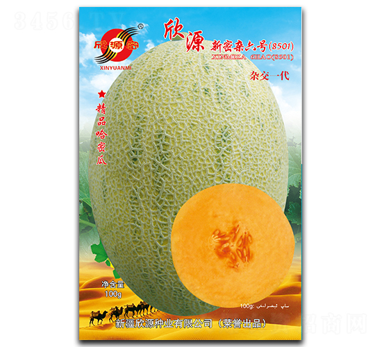 新密雜六號-甜瓜種子-欣源種業