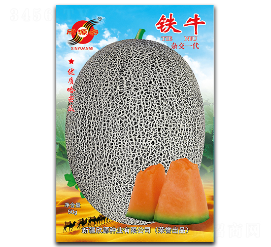 鐵牛-甜瓜種子-欣源種業