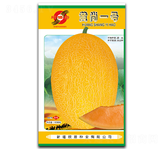 黃尚一號-甜瓜種子-欣源種業