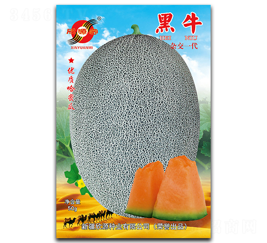 黑牛-甜瓜種子-欣源種業(yè)