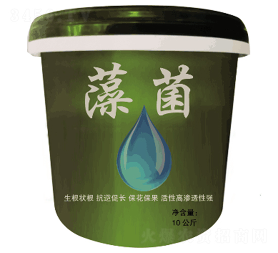 藻菌-豐盛-便雅憫