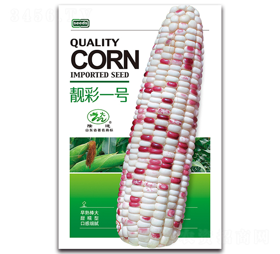 靚彩一號-糯玉米種子-隆達