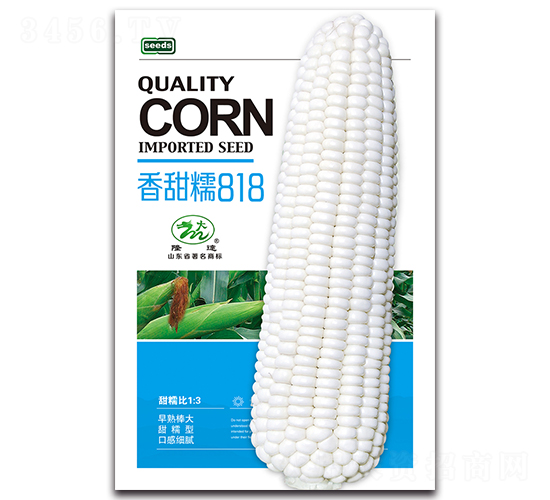 香甜糯818-糯玉米種子-隆達