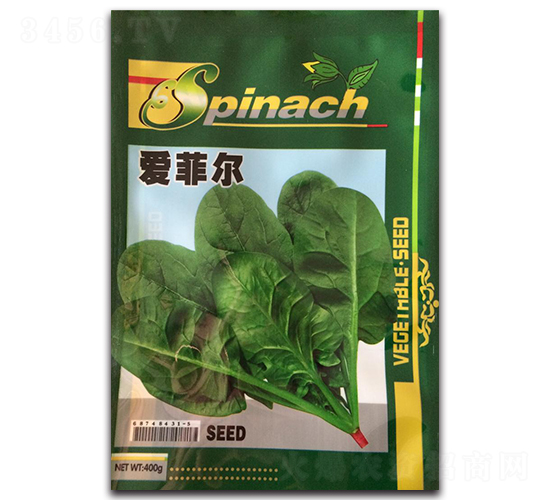 愛菲爾菠菜-菠菜種子-隆達
