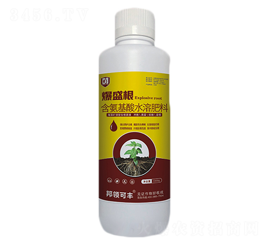 含氨基酸水溶肥料-爆盛根-邦領農業