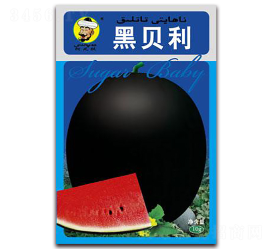黑貝利-西瓜種子-現代種業