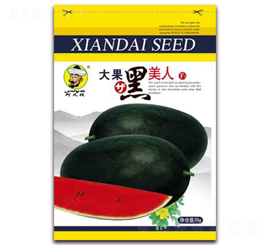 大果黑美人-西瓜種子-現代種業