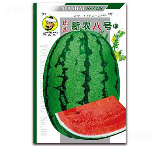 新農(nóng)八號(hào)-西瓜種子-現(xiàn)代種業(yè)