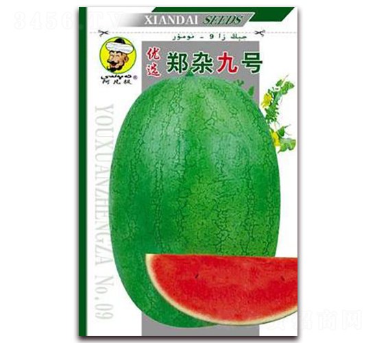 鄭雜九號-西瓜種子-現(xiàn)代種業(yè)