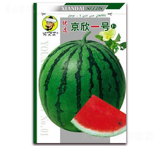 京欣一號-西瓜種子-現代種業