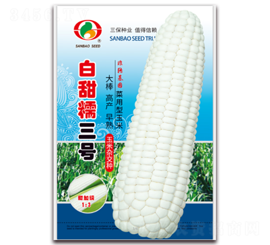 白甜糯三號-糯玉米種子-三保種業
