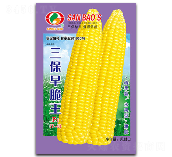 三保早脆王F1-甜玉米種子-三保種業