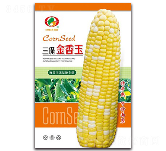 三保金香玉-甜玉米種子-三保種業