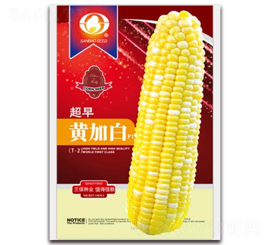 超早黃加白-甜玉米種子-三保種業