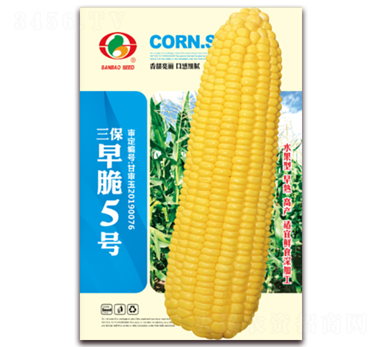 三保早脆5號-甜玉米種子-三保種業