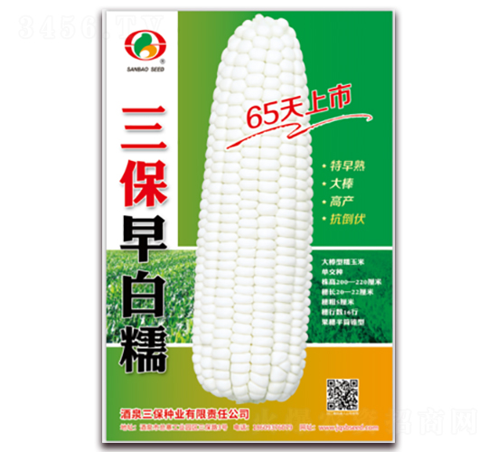 三保早白糯-糯玉米種子-三保種業