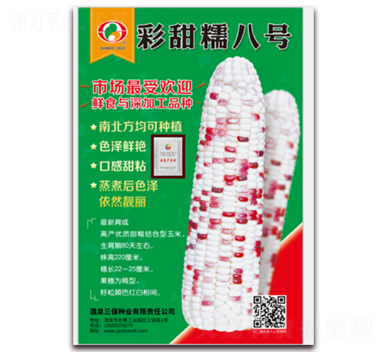 彩甜糯八號(hào)-糯玉米種子-三保種業(yè)