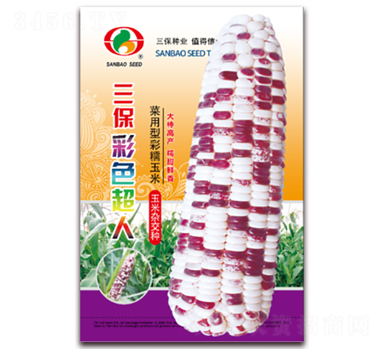 三保彩色超人-糯玉米種子-三保種業