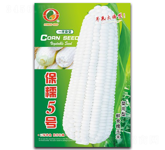 保糯5號-糯玉米種子-三保種業(yè)