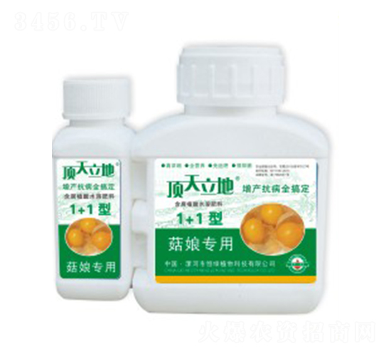 菇娘專(zhuān)用含腐植酸水溶肥料（1+1型）-頂天立地-恒綠植物