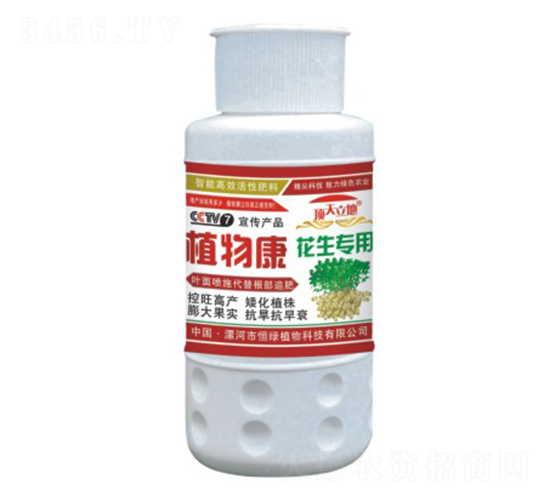 花生專用植物康-頂天立地-恒綠植物
