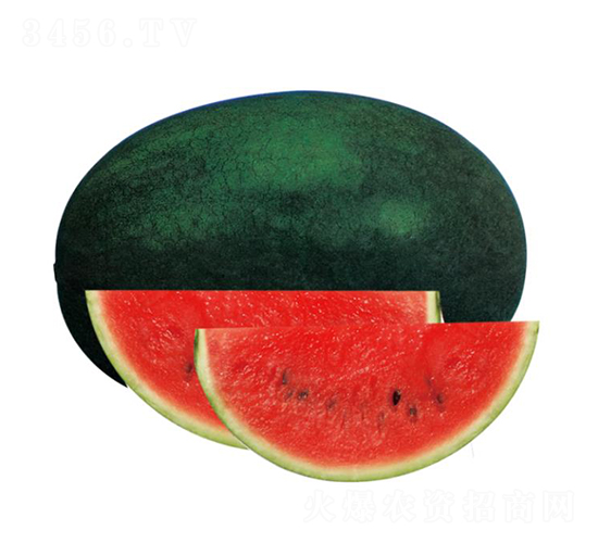 H1̖(ho)-ϷN-ľN