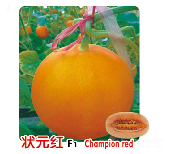 狀元紅F1-甜瓜種子-盛旺種業(yè)