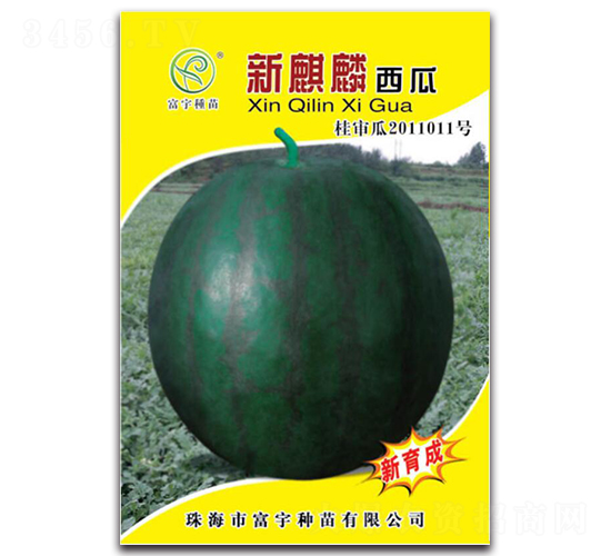 新麒麟西瓜-西瓜種子-富宇種苗