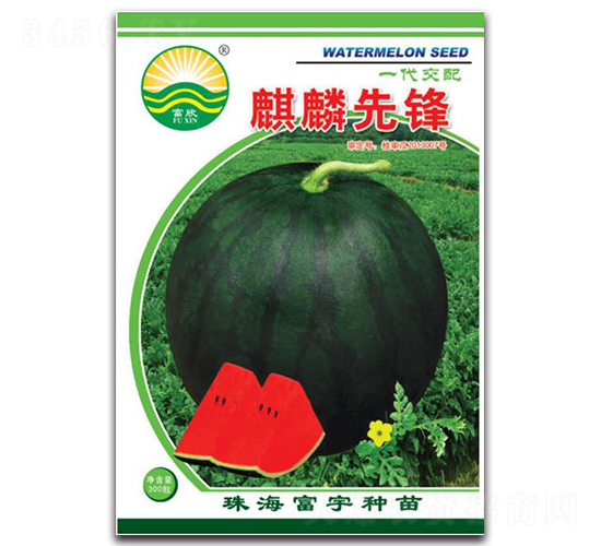 麒麟先鋒-西瓜種子-富宇種苗