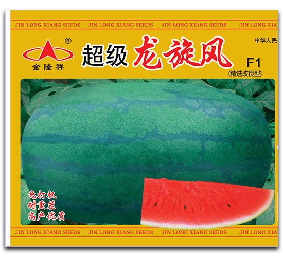 超級龍旋風-西瓜種子-金隆祥