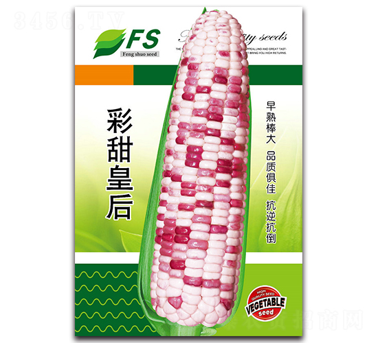 彩甜皇后-甜糯玉米種子-豐碩種業