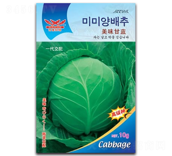 美味甘藍-甘藍種子-科翔種業