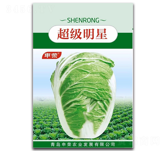 超級明星-白菜種子-申榮農業