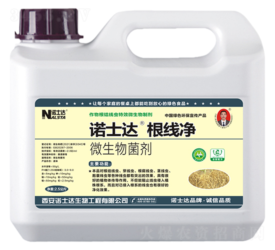 根線凈-諾士達