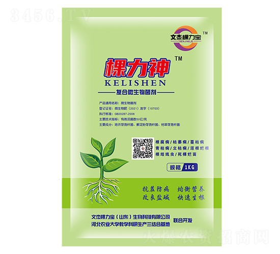 æ£µåŠ›ç¥žå¾©åˆå¾®ç”Ÿç‰©èŒåŠ‘-æ–‡æ°æ£µåŠ›å¯¶