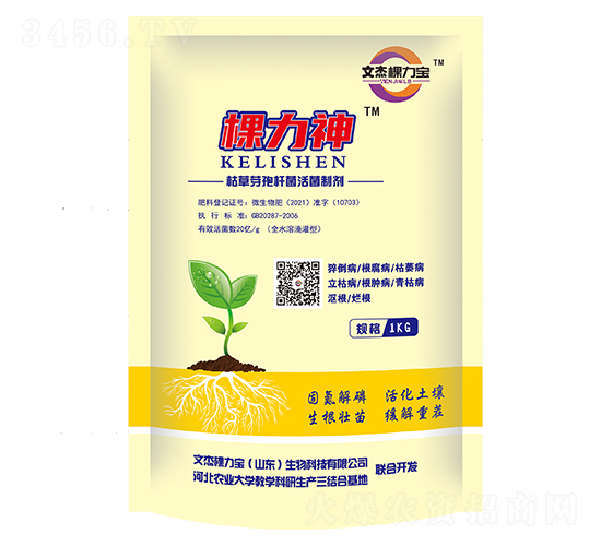 æ£µåŠ›ç¥žæž¯è‰èŠ½å­¢æ¡¿èŒæ´»èŒåˆ¶åŠ‘-æ–‡æ°æ£µåŠ›å¯¶