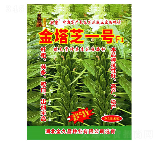 金塔芝一號-芝麻種子-金九昌