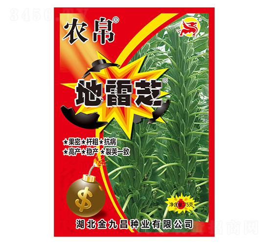 地雷芝-農帛-金九昌