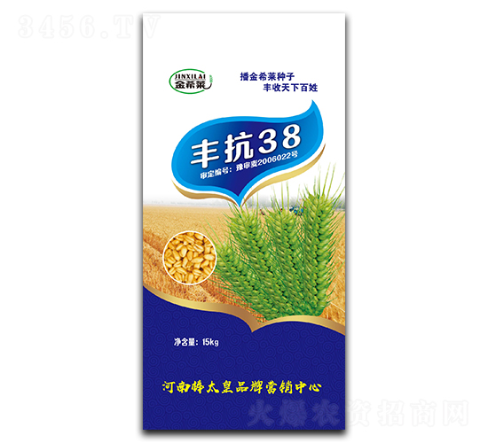 豐抗38（小麥種子）-金希萊-鼎冠種業