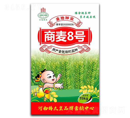商麥8號（小麥種子）-鼎冠種業