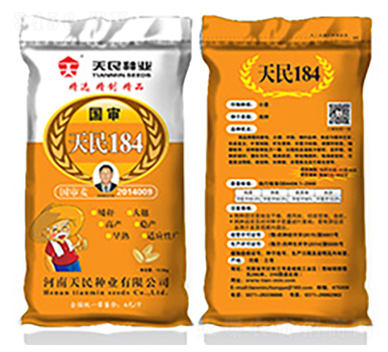 國審天民184（黃袋）-小麥種子-天民種業