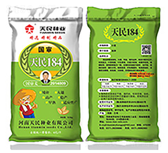 國審天民184（綠袋）-小麥種子-天民種業