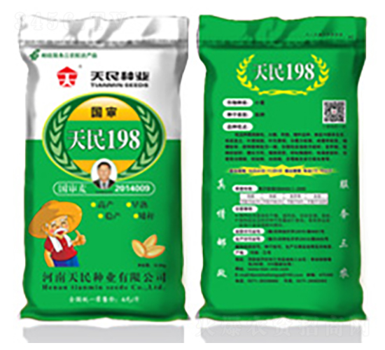 國審天民198-小麥種子-天民種業