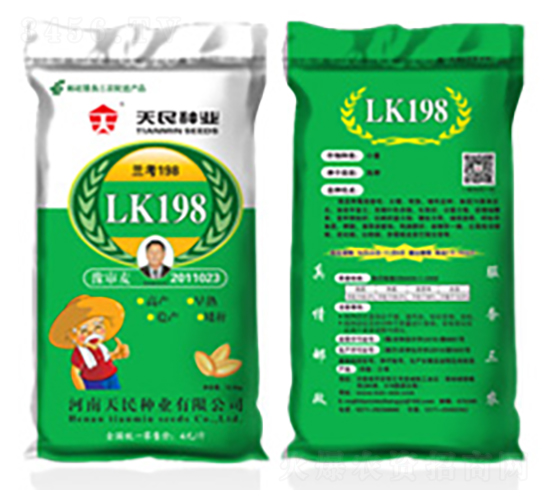 國審蘭考198（LK198）-小麥種子-天民種業