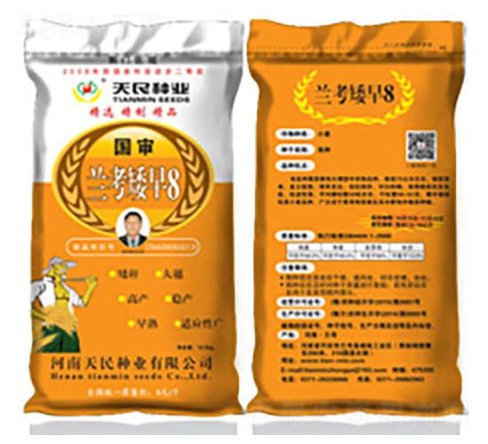 國審蘭考矮早8（荊門區域黃袋）-小麥種子-天民種業