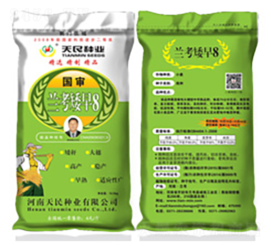 國審蘭考矮早8（荊門區域綠袋）-小麥種子-天民種業