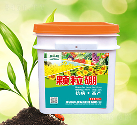 顆粒硼-福樂邦