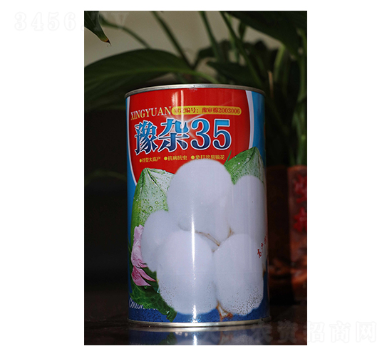 豫雜35-棉花種子-邢源農業