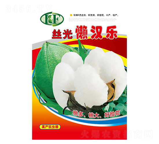 絲光懶漢樂-棉花種子-邢源農業